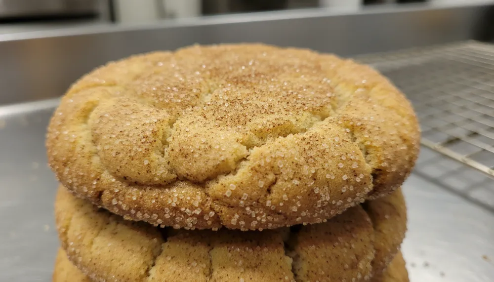 Sourdough Discard Snickerdoodles 2